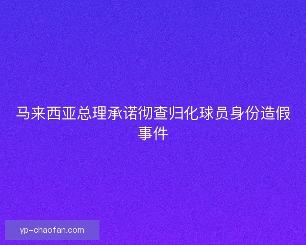 马来西亚总理承诺彻查归化球员身份造假事件 马来西亚总理承诺彻查归化球员身份造假事件